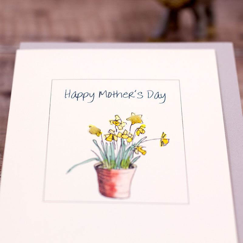 Pot of Daffodils - Happy Mother's Day