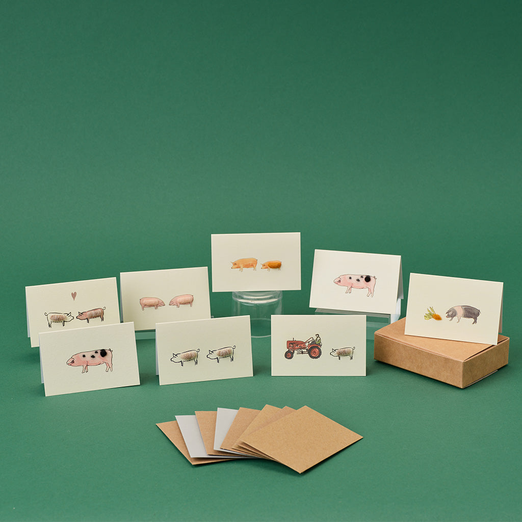 Boxed Collection of Mini Pig cards - 8 cards