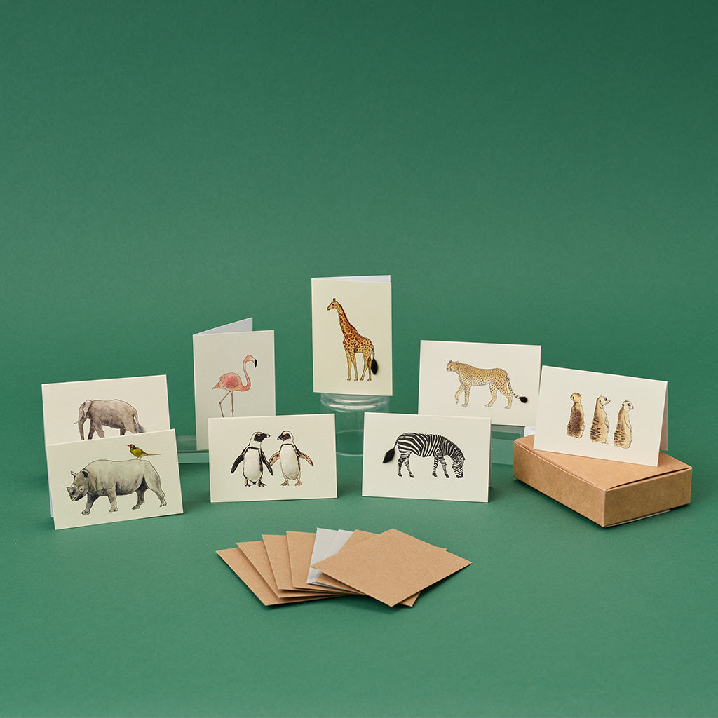 Boxed Collection of Mini Safari Animals cards - 8 cards