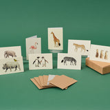 Boxed Collection of Mini Safari Animals cards - 8 cards