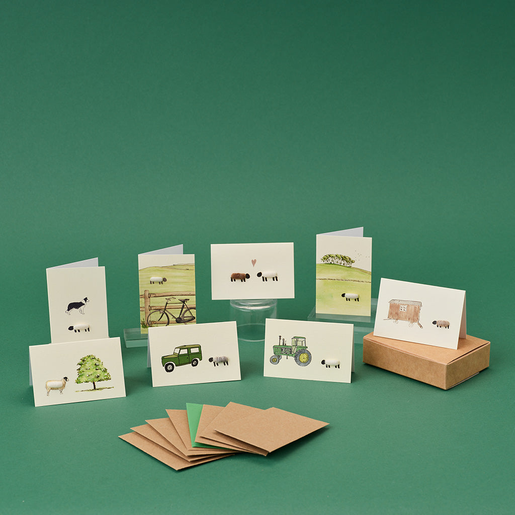 Boxed Collection of Mini Sheep cards - 8 cards
