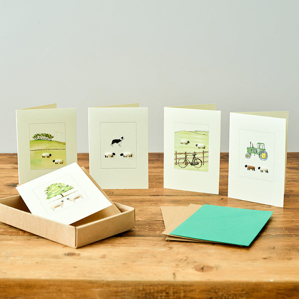Boxed Set of 5 Sheep greetings cards