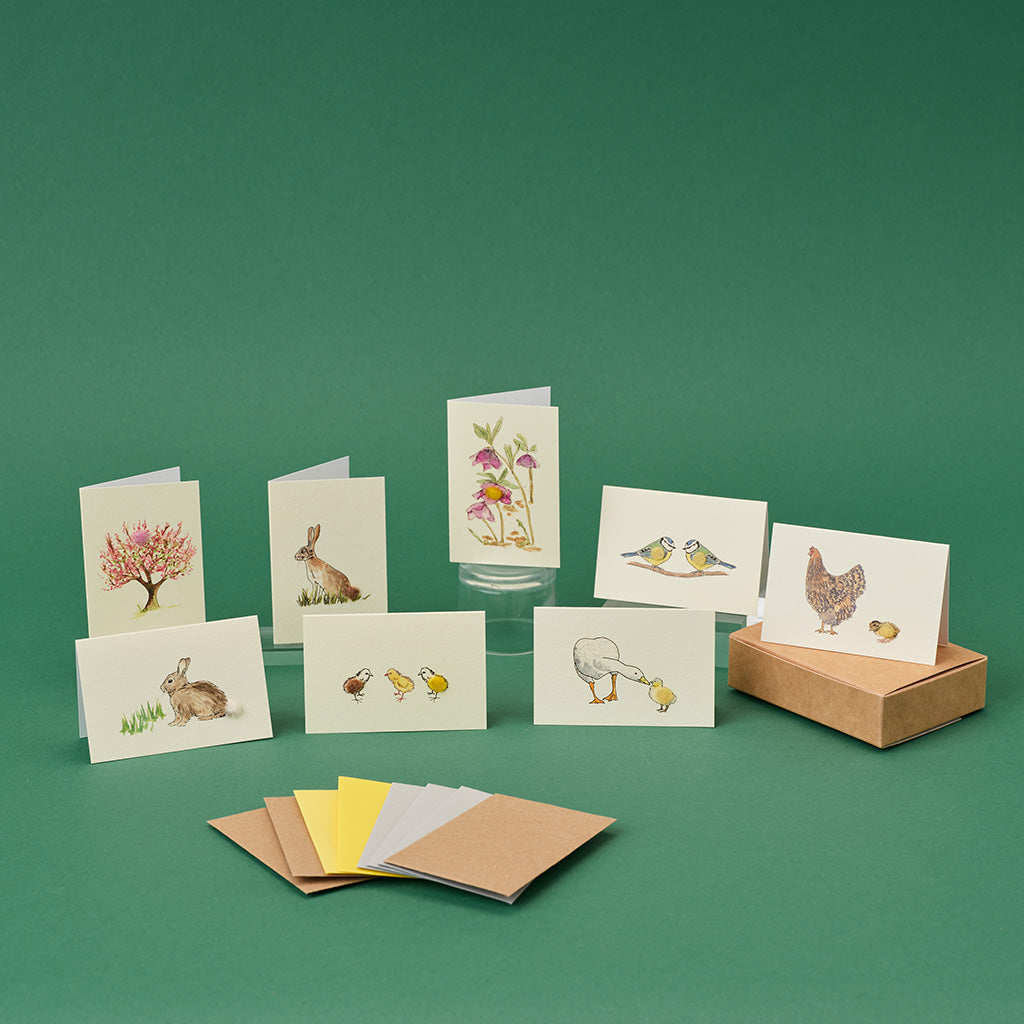 Boxed Collection of Mini Spring-themed cards - 8 cards