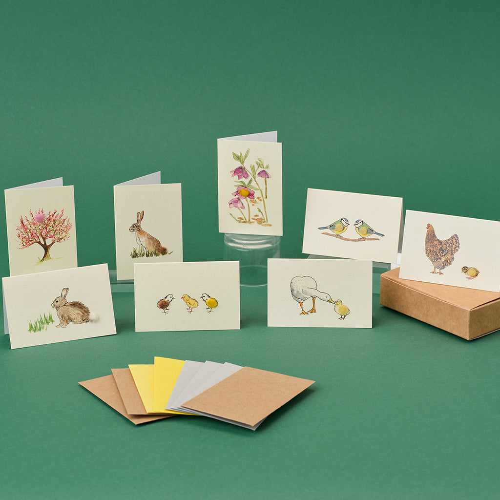 Boxed Collection of Mini Spring-themed cards - 8 cards