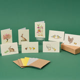 Boxed Collection of Mini Spring-themed cards - 8 cards