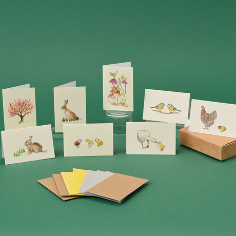 Boxed Collection of Mini Spring-themed cards - 8 cards
