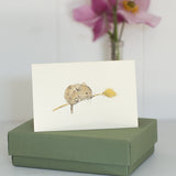 Mini Vole card