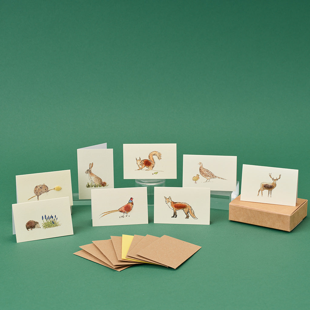 Boxed Collection of Mini British Wildlife cards - 8 cards