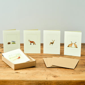 Boxed set of 5 British wildlife greeting cards