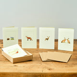 Boxed set of 5 British wildlife greeting cards