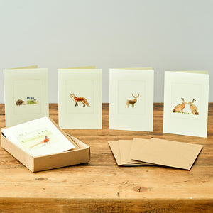 Boxed set of 5 British wildlife greeting cards