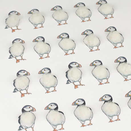 Puffins Limited Edition Print