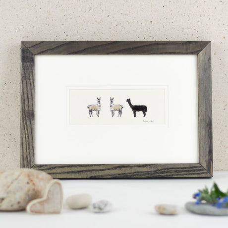 Alpaca bespoke print