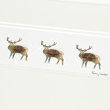Deer bespoke Print