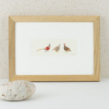 Game Birds bespoke Print