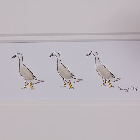 Runner Ducks bespoke Print