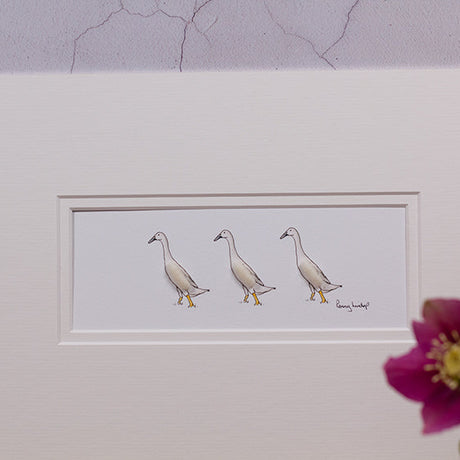 Runner Ducks bespoke Print