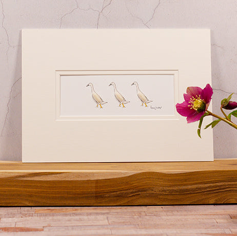Runner Ducks bespoke Print