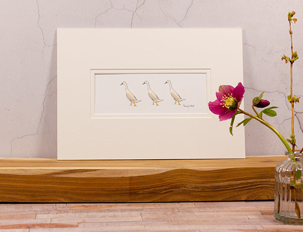 Runner Ducks bespoke Print