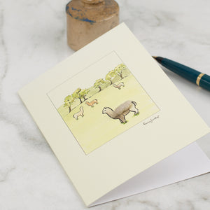 Alpacas Card
