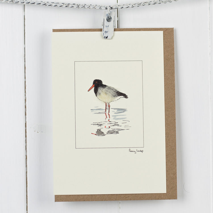 Oystercatcher Bird greetings card