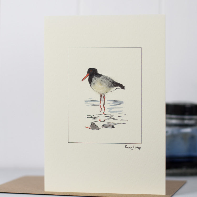 Oystercatcher Bird greetings card