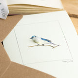 Blue Jay Bird greetings card