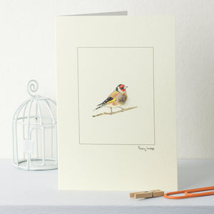 Goldfinch Bird greetings card