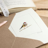 Goldfinch Bird greetings card