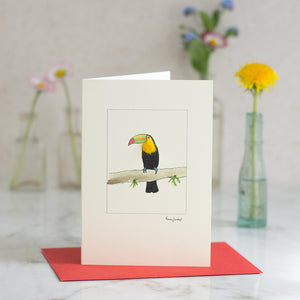 Toucan greetings card