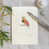 Bird of Paradise Greetings Card