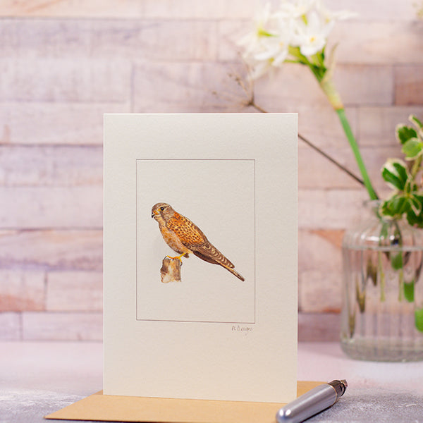 Kestrel greetings card
