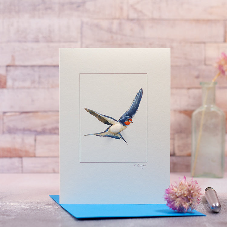 Swallow card