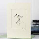 Avocet Bird Card