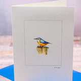 Nuthatch bird greetings card