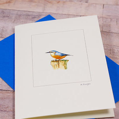 Nuthatch bird greetings card