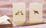 Boxed set of 5 British wildlife greeting cards