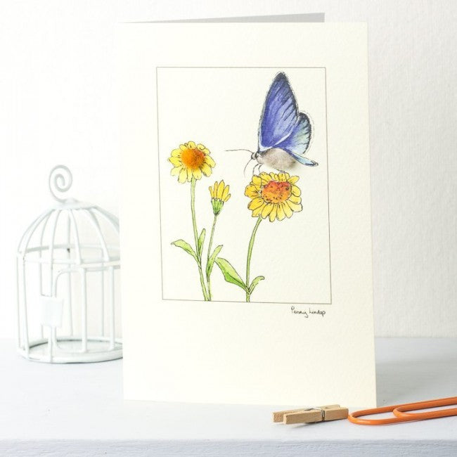 Blue Butterfly Greetings card