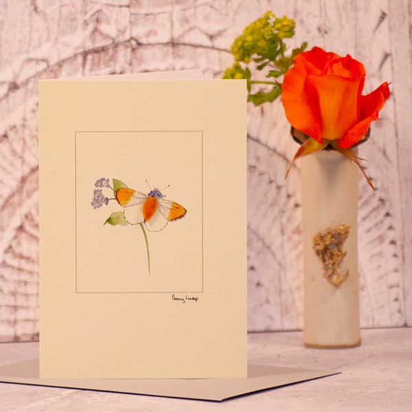Orange Tip Butterfly greetings card