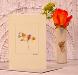 Orange Tip Butterfly greetings card