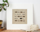 Natural Flock of Sheep Print - Square