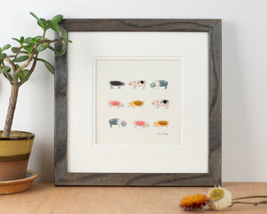 Pigs bespoke Print - Rare Breeds