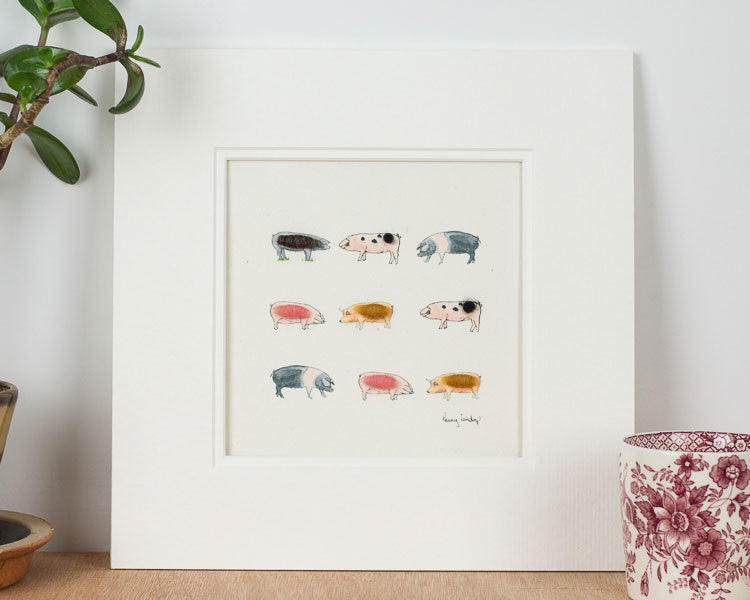 Pigs bespoke Print - Rare Breeds