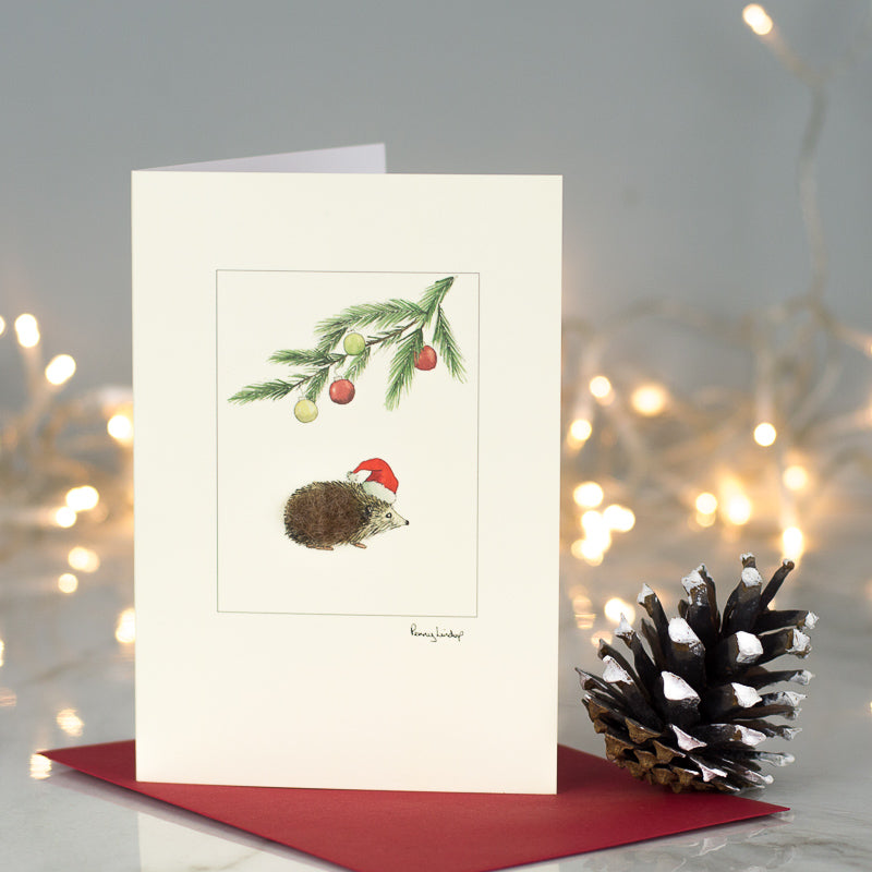 Hedgehog under a pine sprig Christmas card