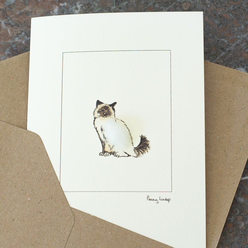Birman Cat card