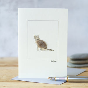 Tabby Cat greetings card