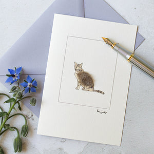 Tabby Cat greetings card