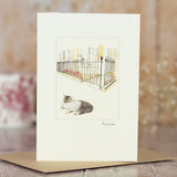 Grey and White Cat greetings card