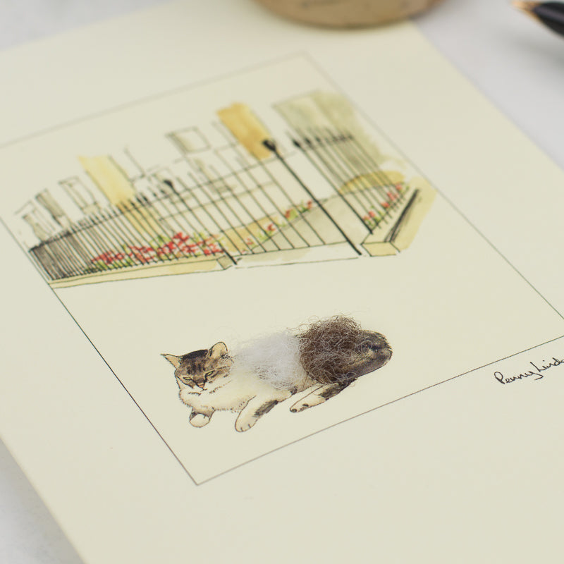 Grey and White Cat greetings card