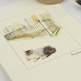 Grey and White Cat greetings card